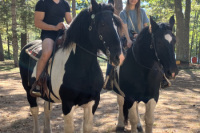 horse-ride