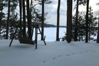 Beaver-House-View