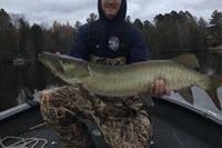 musky