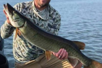 musky-ajlooker-2